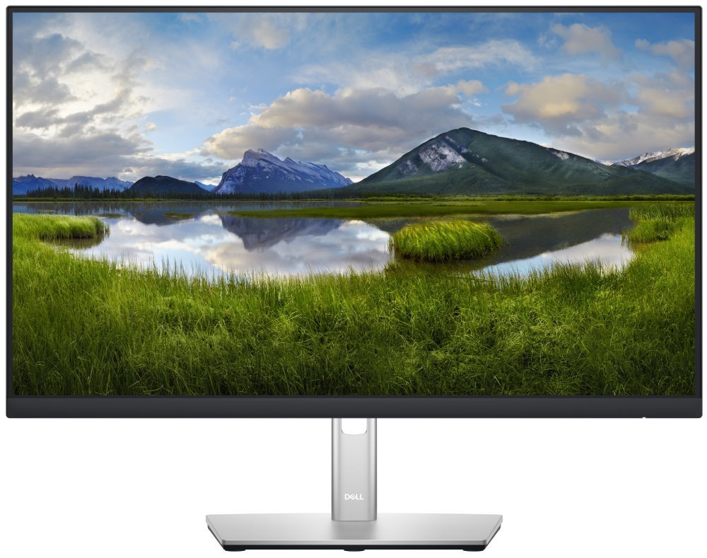 Dell/P2422H/23,8"/IPS/FHD/60Hz/5ms/Silver/3RNBD