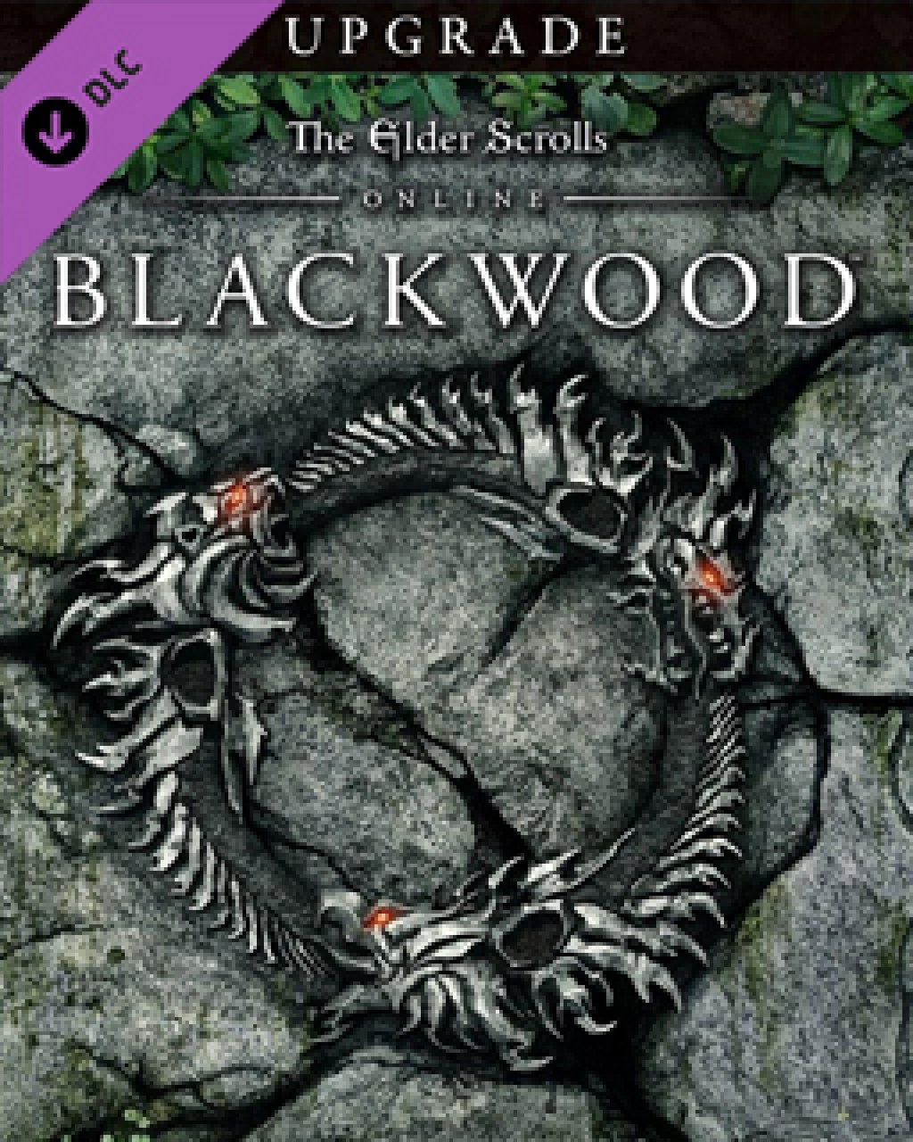 ESD The Elder Scrolls Online Blackwood Upgrade