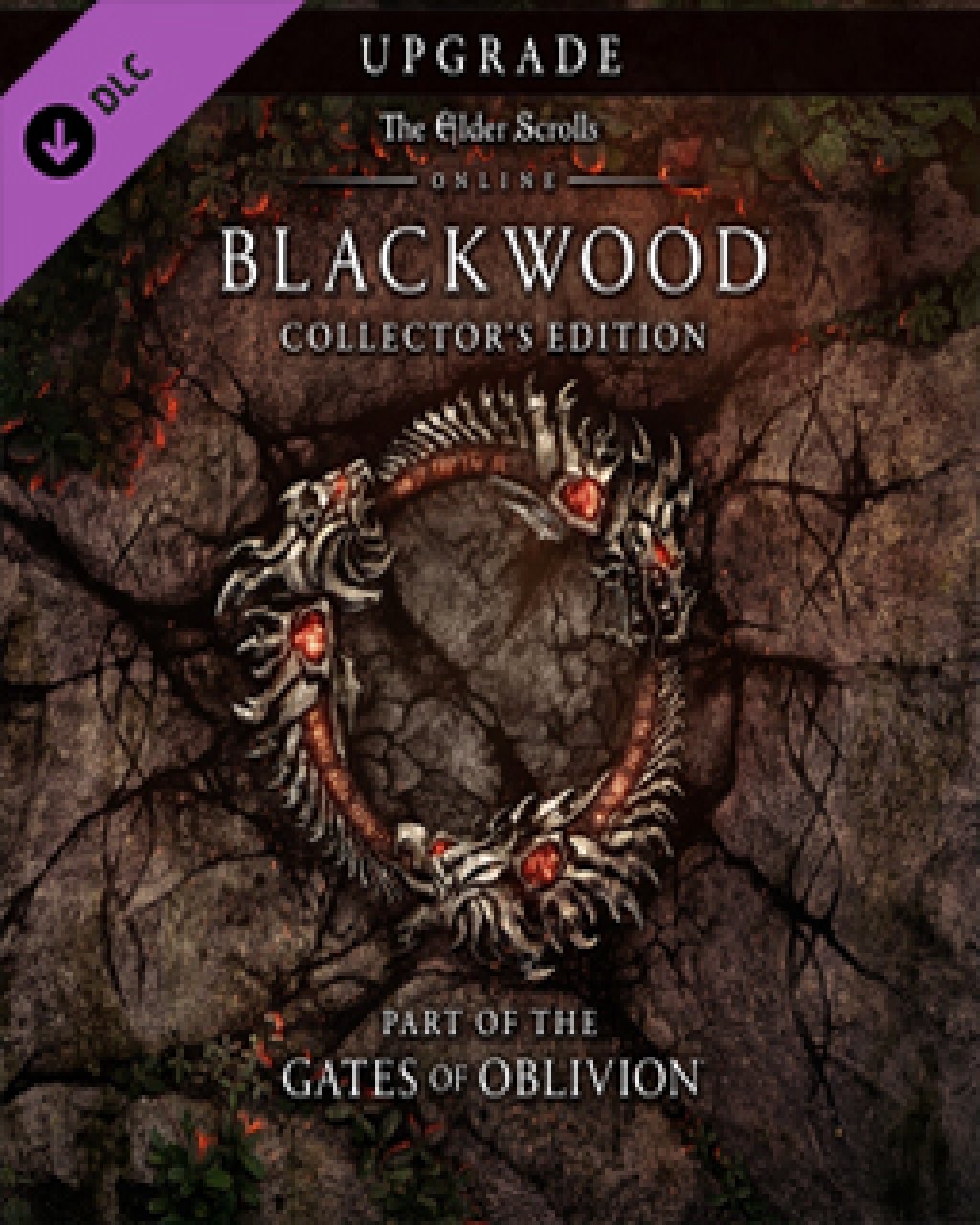 ESD The Elder Scrolls Online Blackwood Collector's