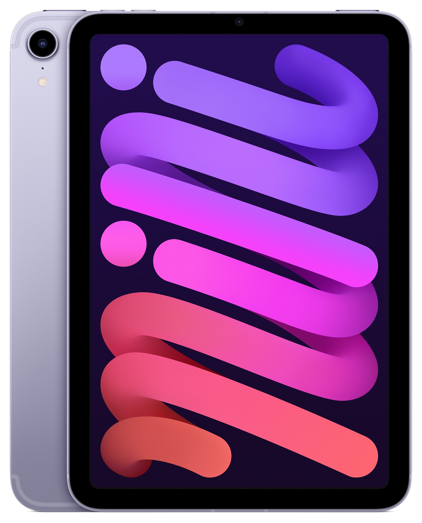 iPad mini Wi-Fi + Cellular 256GB Purple (2021) 
