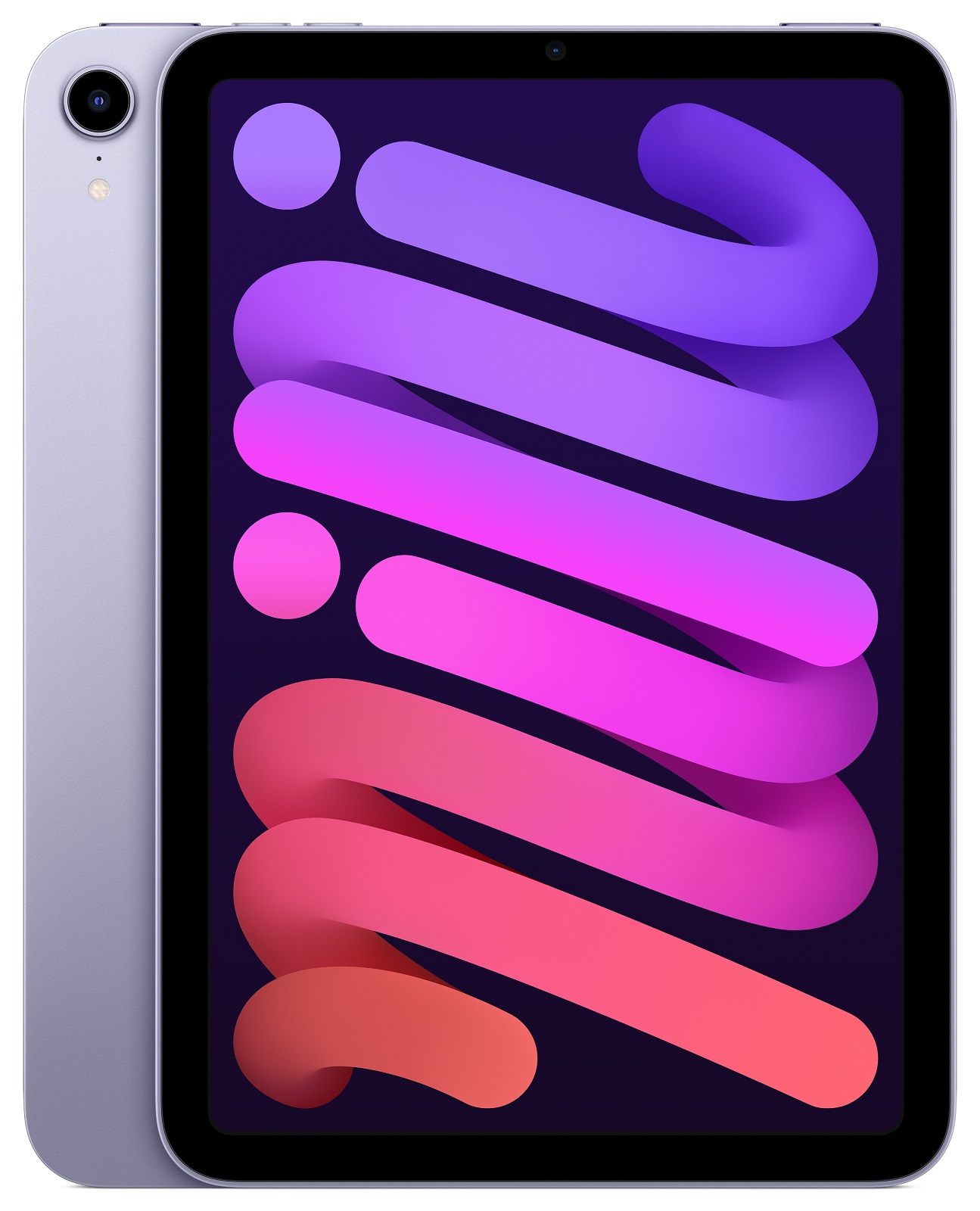 iPad mini Wi-Fi 256GB Purple (2021) 