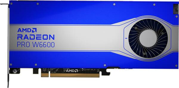 HP AMD Radeon Pro W6600/8GB/GDDR6